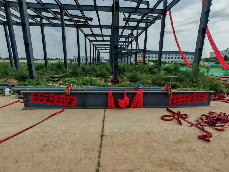 Yongcheng Xingye Stahlkonstruktionsfirma Beschleunigte Bau von Hebei Bosheng Food Workshop